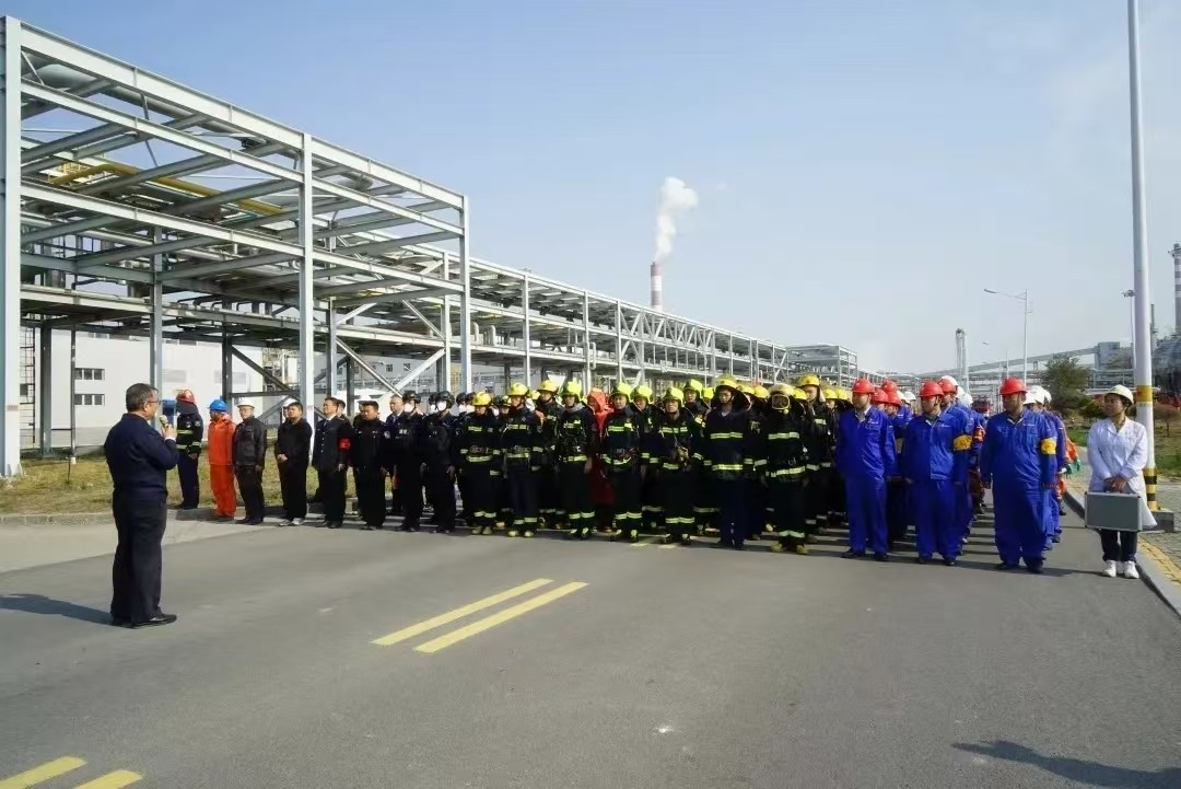 14450_1755223080_hd.jpeg 14450_1755223080_hd.jpeg